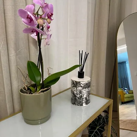 Apartment Urban